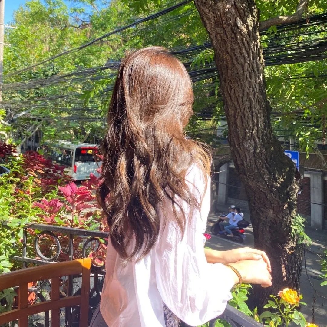 斑马