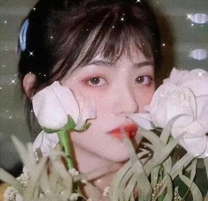 回到初相恋